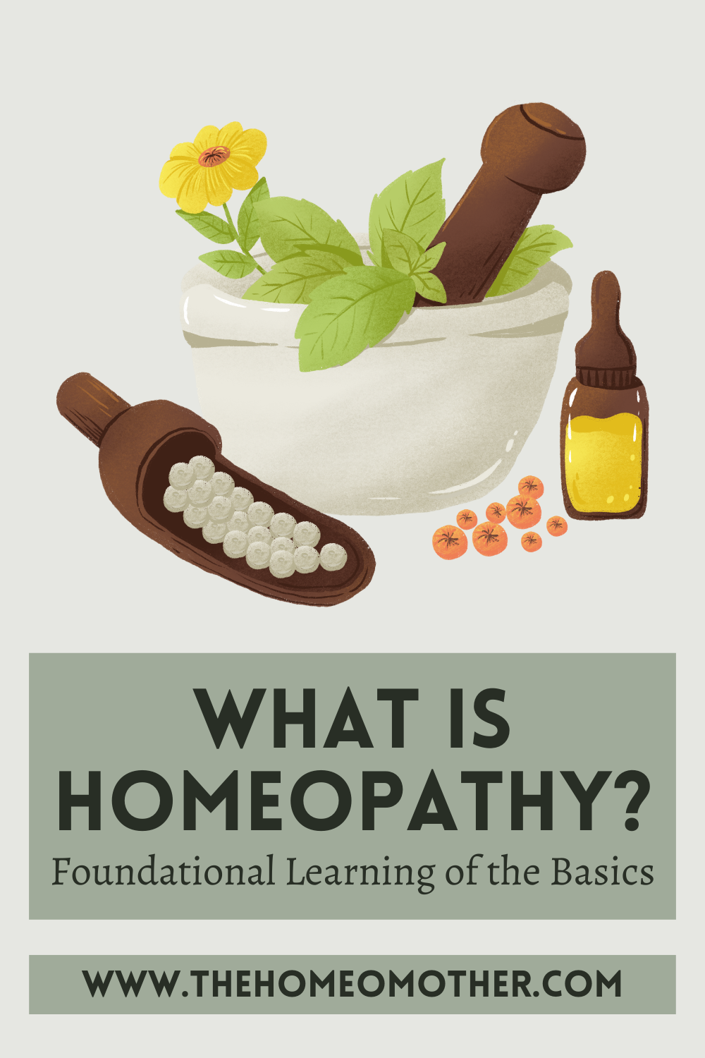 What is Homeopathy? Foundational Learning of the Basics