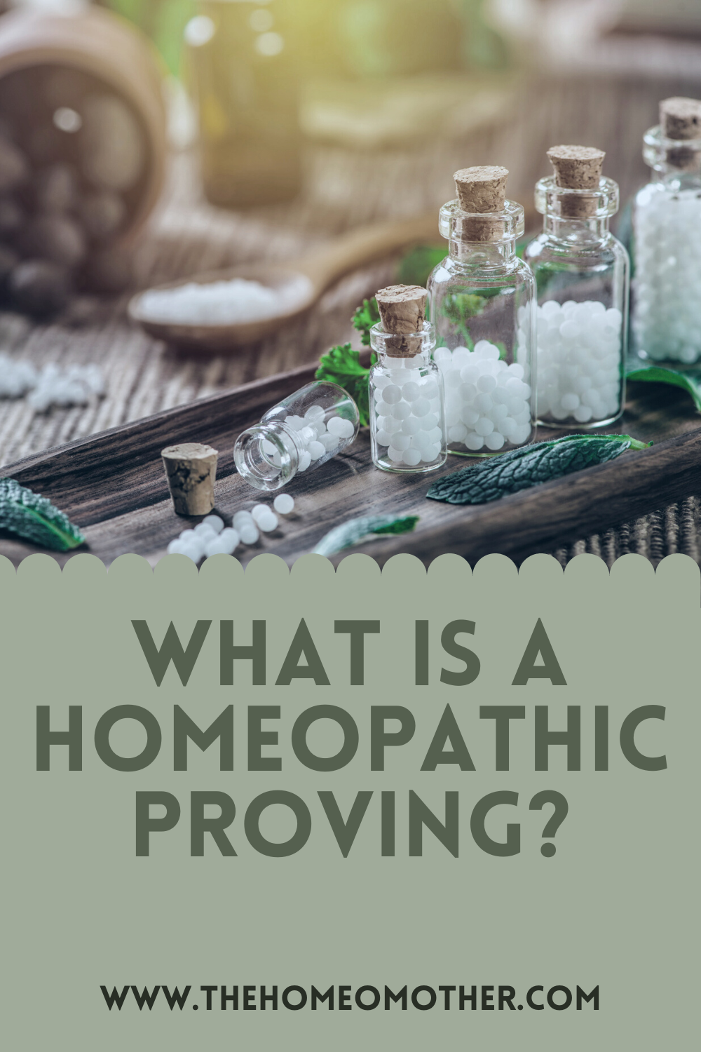 Have You Heard of Homeopathic Provings? Here is the Explanation.