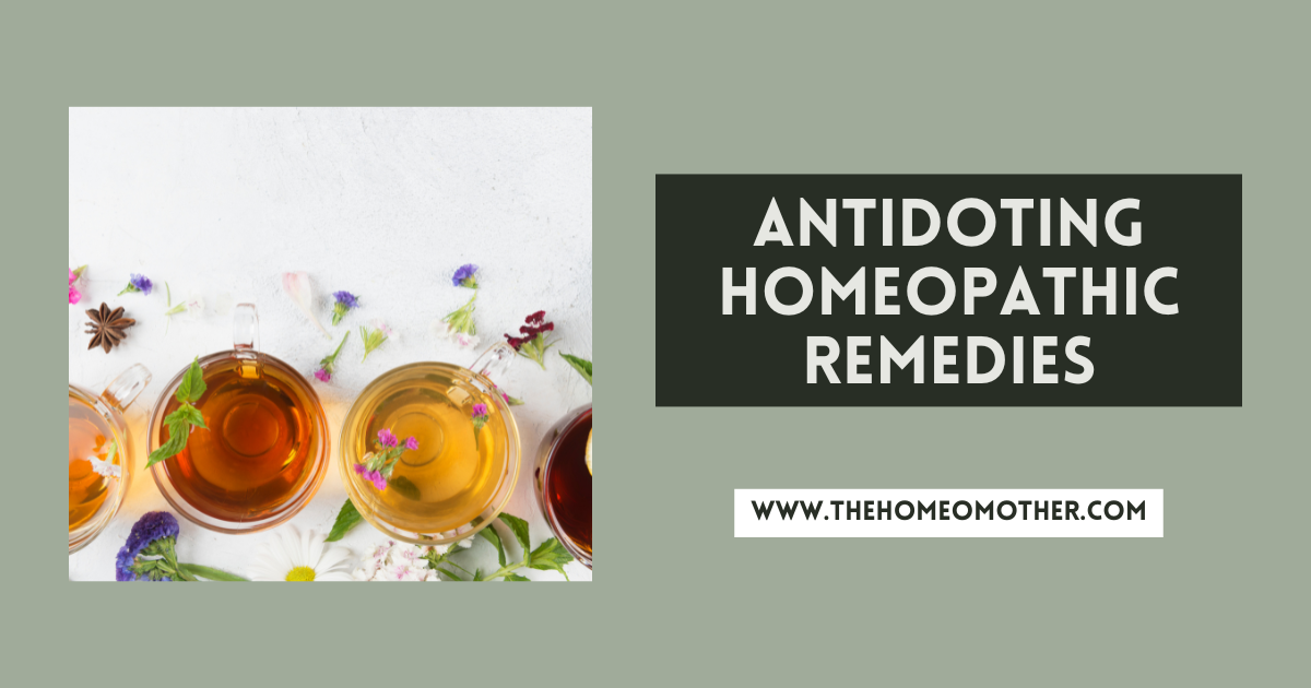 How to Antidote Homeopathic Remedies – The Homeo Mother