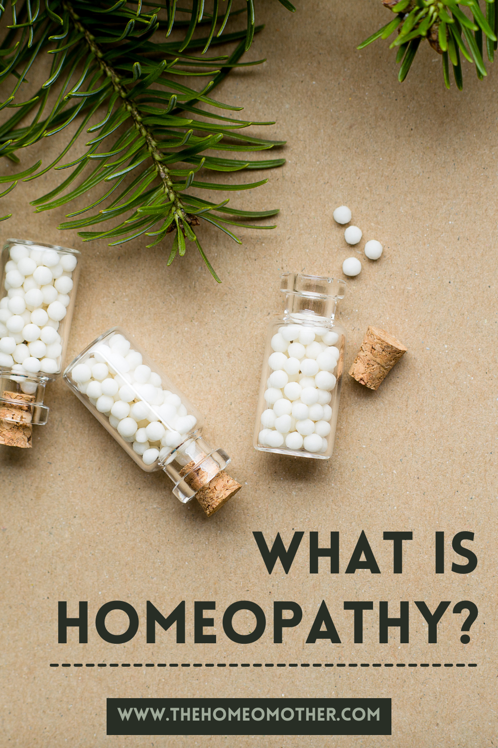 Healing Naturally: What is Homeopathy?