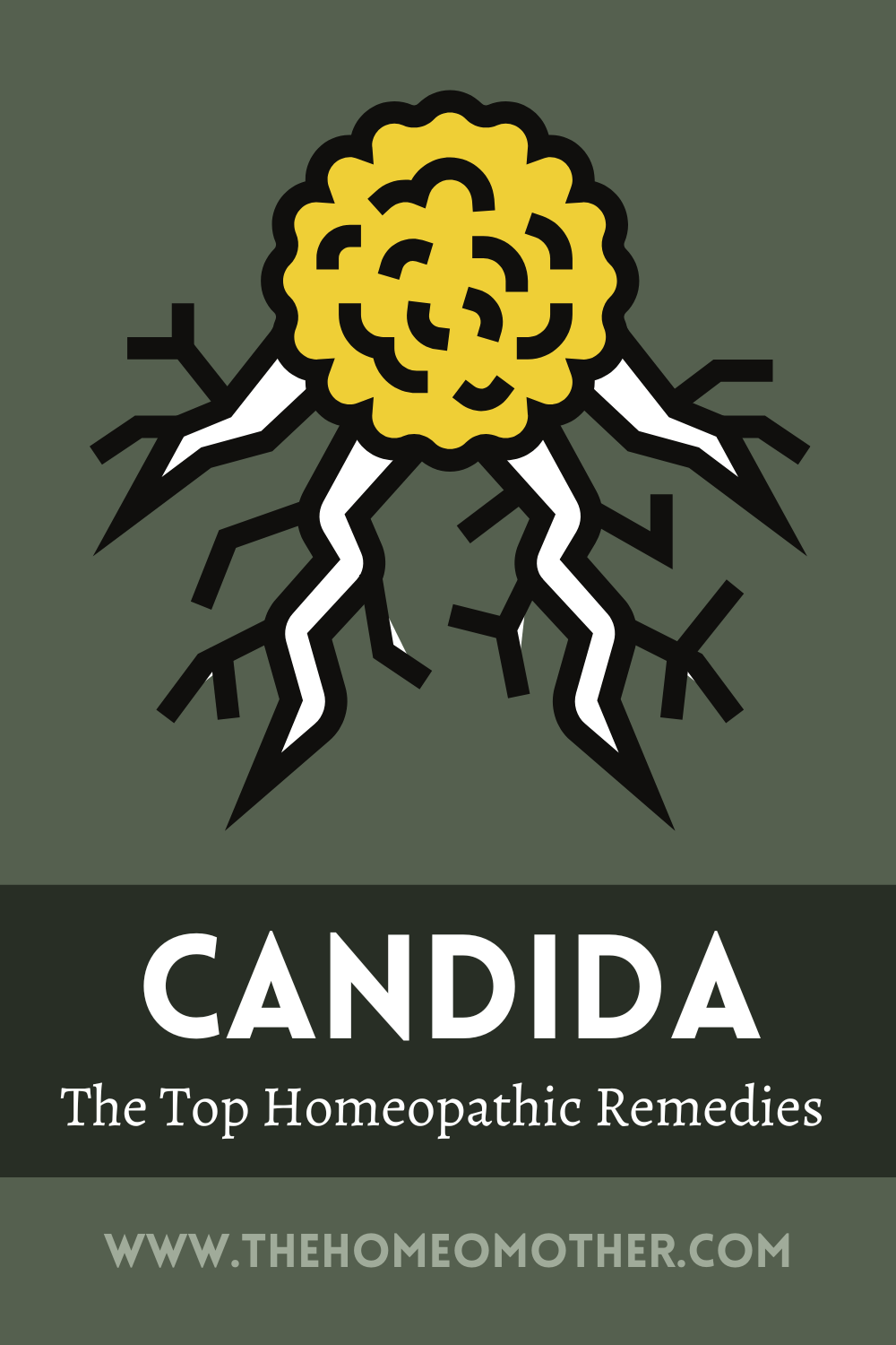 Candida: The Top 6 Best Homeopathic Remedies