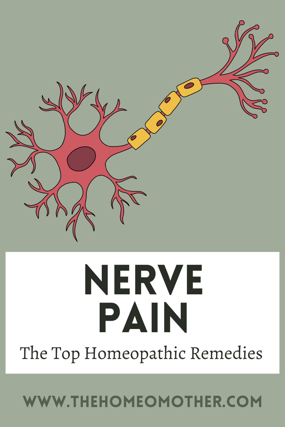 Nerve Pain: The Top 6 Best Homeopathic Remedies