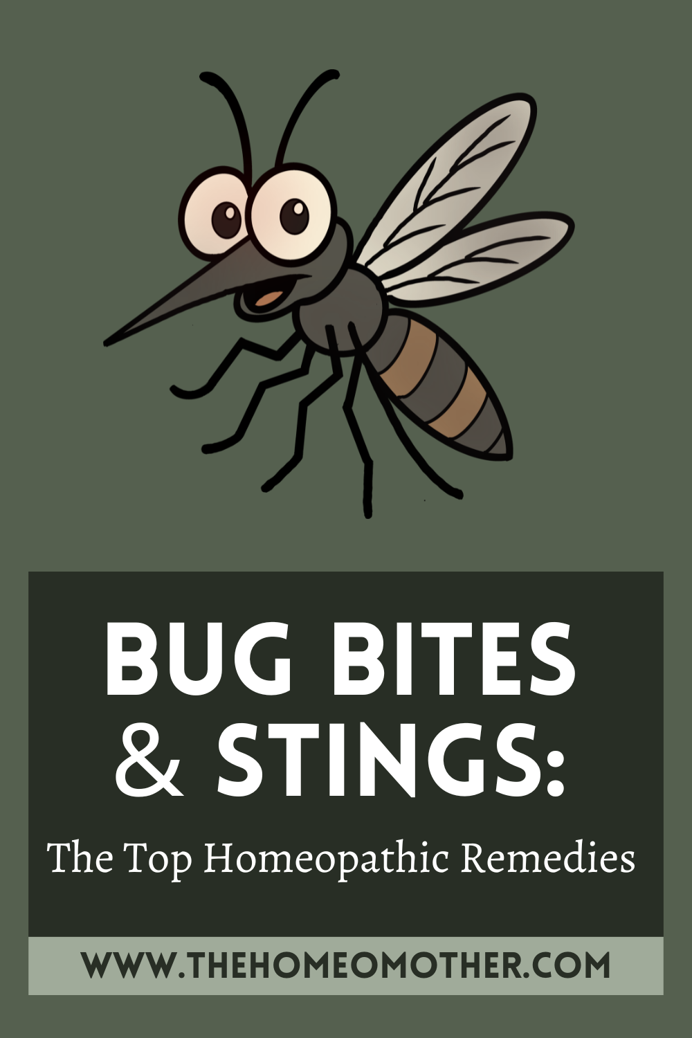Bug Bites & Stings: Top 5 Best Homeopathic Remedies