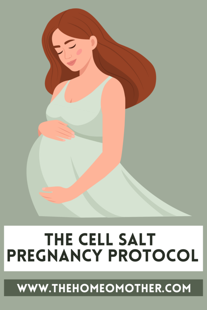 The Cell Salt Pregnancy Protocol